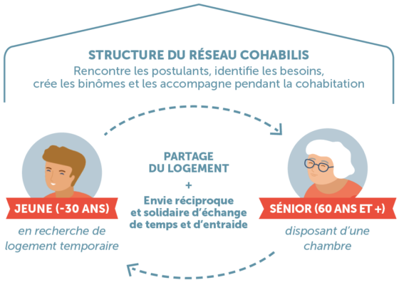 Structure du réseau Cohabilis